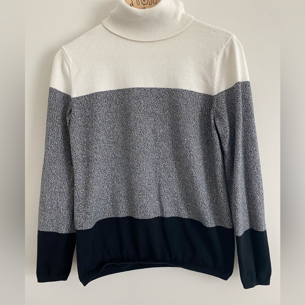 Talbots Color Block Turtleneck | S
